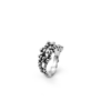 anello raspini perlage piccolo
